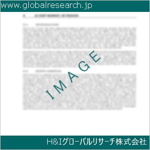 グローバルリサーチ調査資料のイメージ